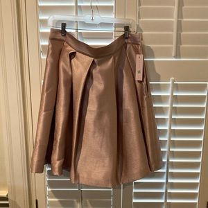 Mauve pleated skirt